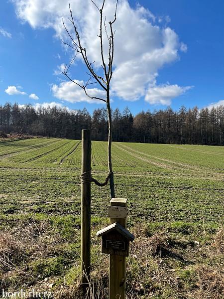 wandern in der Haard