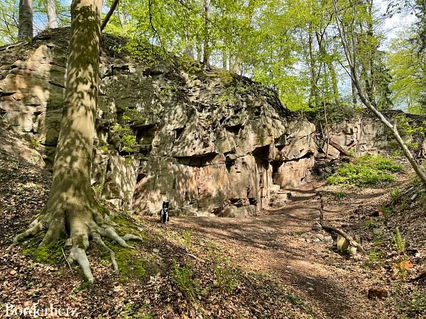 Kettwiger Panoramasteig