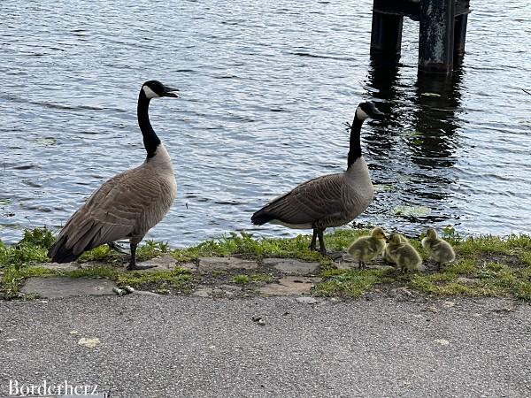 Kettwiger Stausee