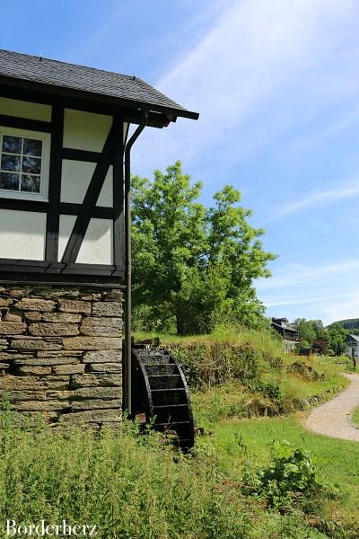 Waldarbeiter- und Försterpfad Latrop