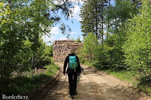 wandern im Sauerland