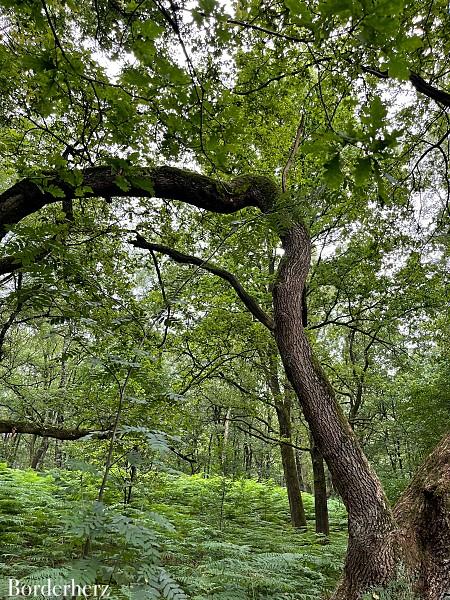 Wandern im Ruhrgebiet