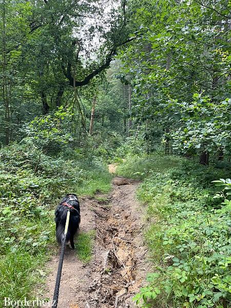 Wandern im Ruhrgebiet