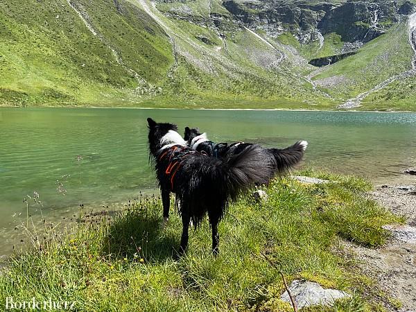 Bergerseehütte