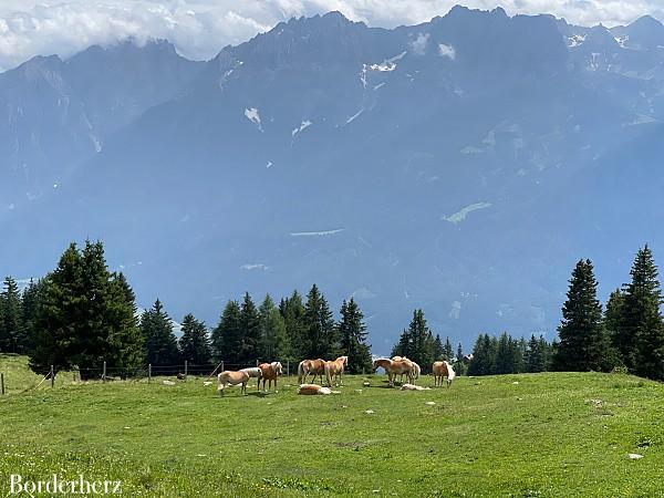 Kleines Schöberl