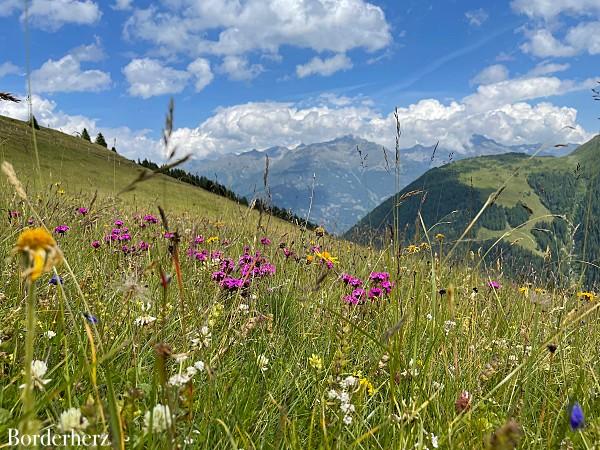 Mittelpunkt Osttirol