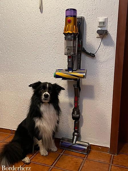 Dyson Testbericht