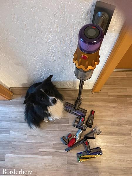 Dyson Testbericht