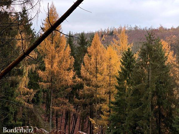 Herbst im Bergischen Land