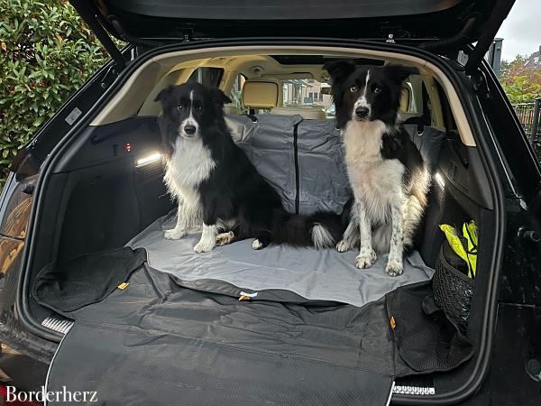 Kofferraumbezug für Hunde