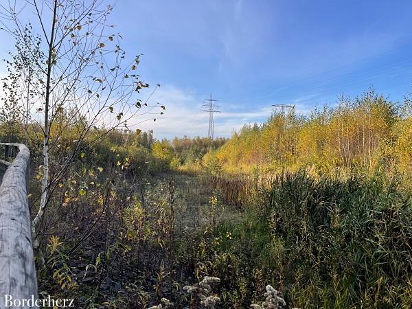 Wandern mit Hund im Ruhrgebiet