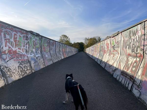 Wandern mit Hund im Ruhrgebiet