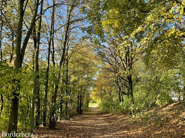 Hundefreilaufflächen Oberhausen