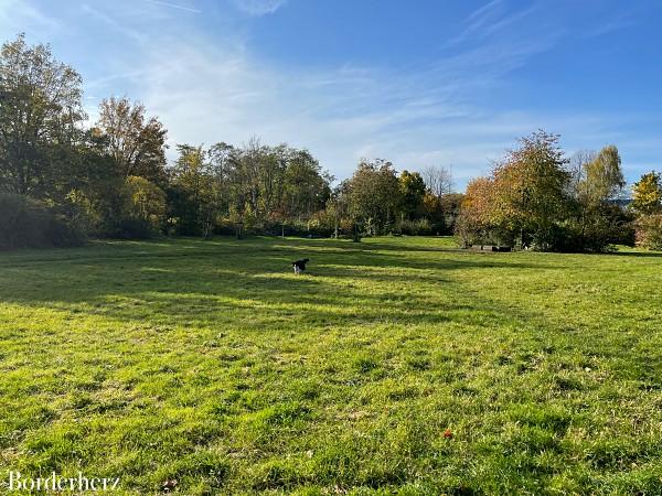 Hundefreilaufflächen Oberhausen