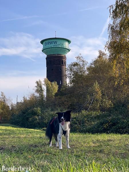 Hundefreilaufflächen Oberhausen