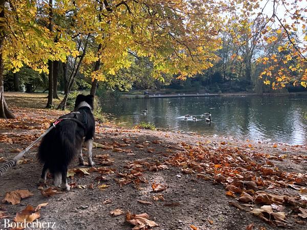 Oberhausen mit Hund