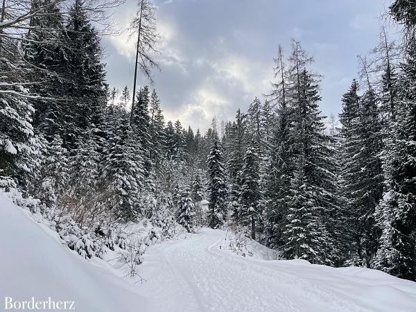 Wandern im PillerseeTal