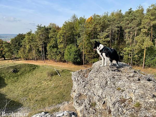 Schäferweg Nördlingen