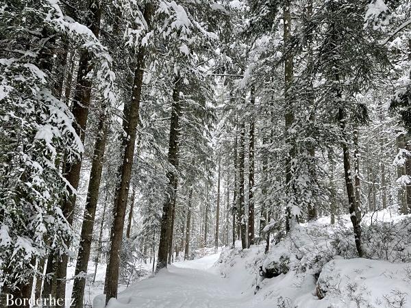 Winterwandern im PillerseeTal