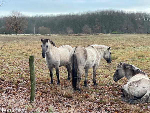 Wanderung Meinvennen