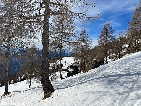 Schneeschuhwanderung mit Hund