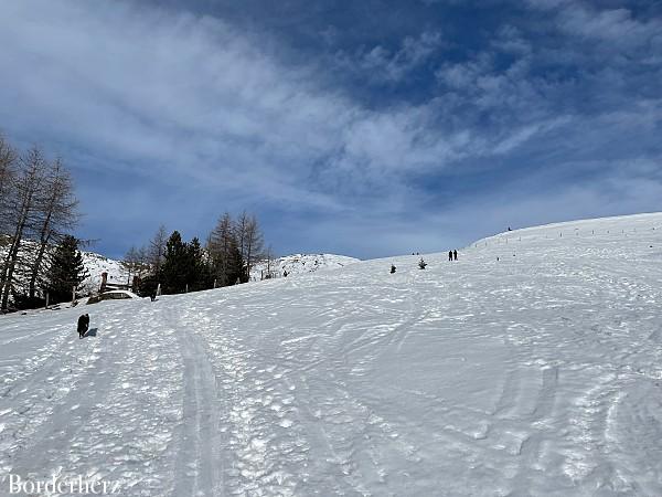 Schneeschuhwanderung Zettersfeld