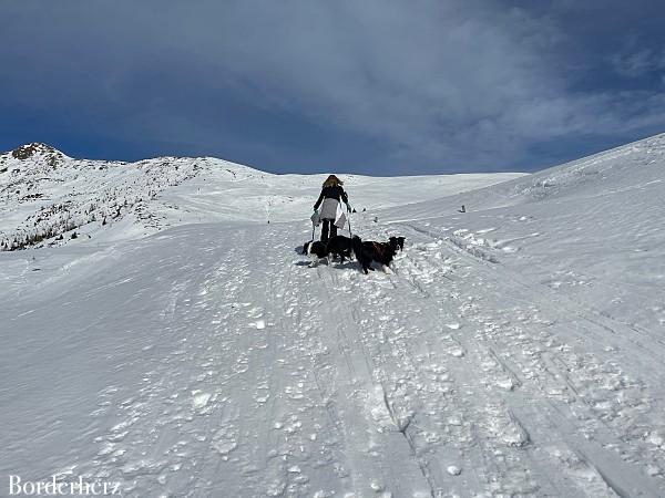 Schneeschuhwanderung Lienz