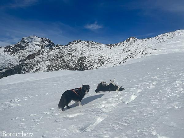 Schneeschuhwanderung Lienz