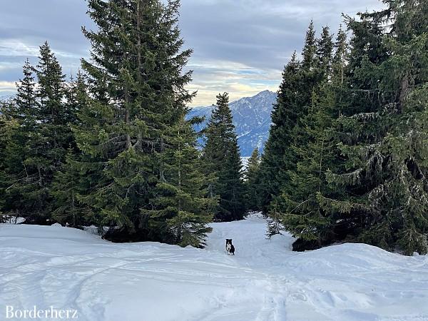 Schneeschuhwandern Zettersfeld