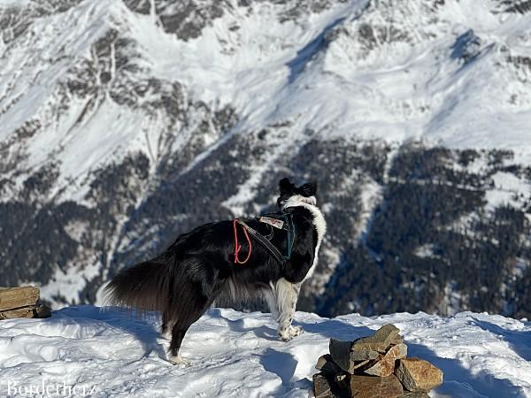 Schneeschuhwanderung Debanttal