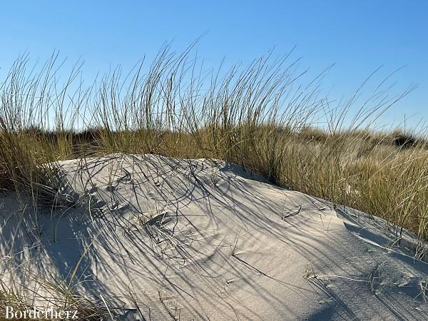 Strandwanderungen Ouddorp