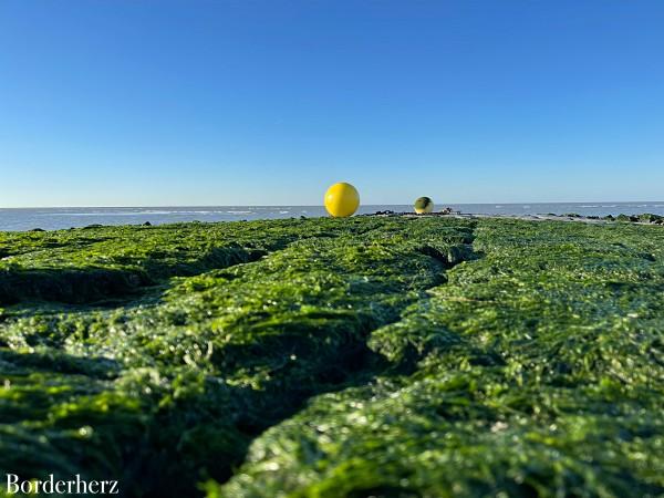 Strandwanderungen in Ouddorp