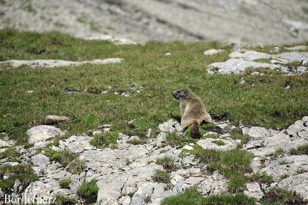 wandern mit kindern in osttirol