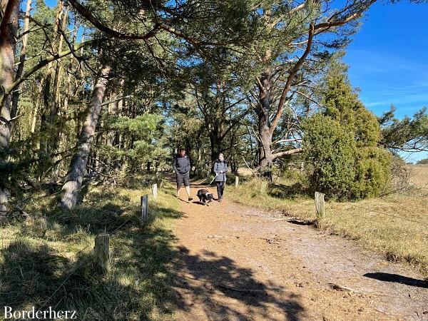 Camping- und Wanderurlaub mit Hund am Darß