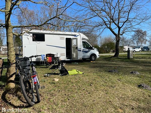 Campingurlaub mit Hund am Darß