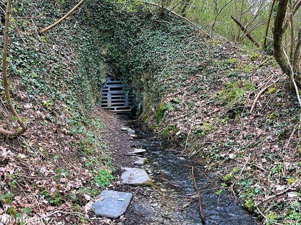 Wandern in der Eifel