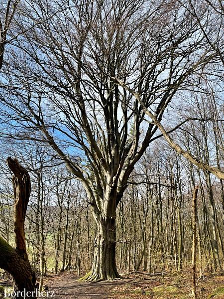 Traumpfad Vier-Berge-Tour