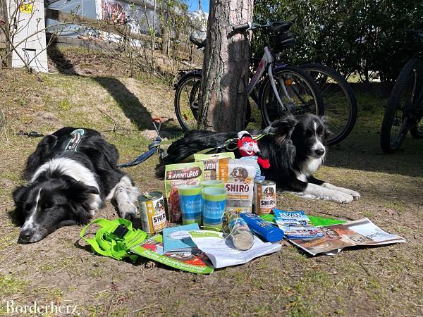 Camping Ostseeblick Erfahrungen