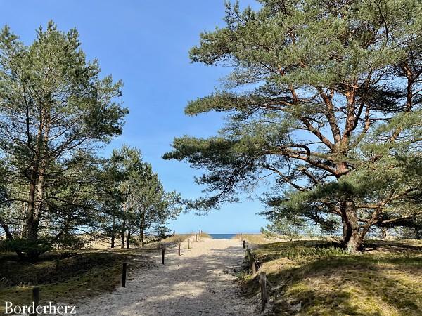 Urlaub mit Hund auf Usedom