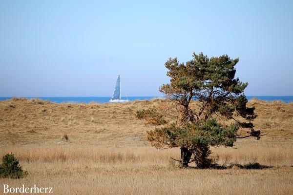 Camping- und Wanderurlaub am Darß mit Hund