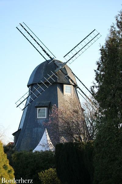 Windmühle Born am Darß