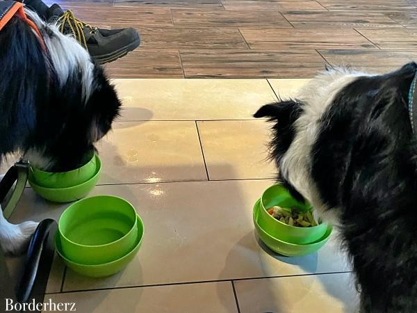 Essen gehen mit Hund auf Usedom