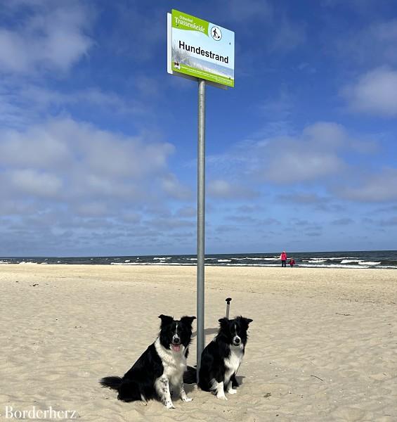 Usedom mit Hund