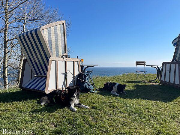 Rügen wandern mit Hund