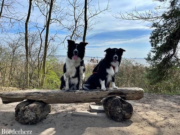 Usedom mit Kind und Hund