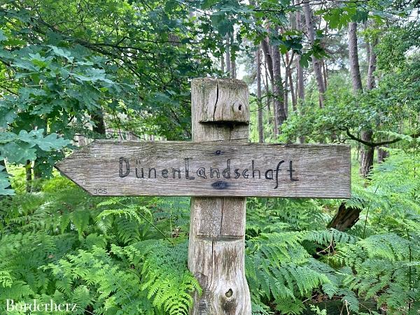 Landstreifer Diersfordter Wald