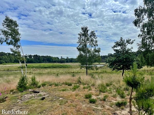 Landstreifer Diersfordter Wald