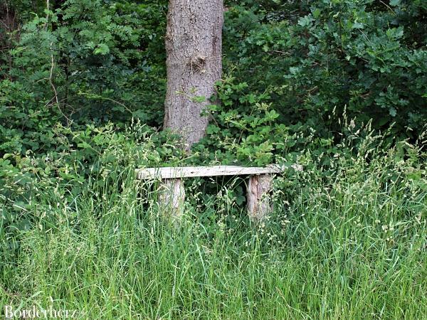 Landstreifer Diersfordter Wald