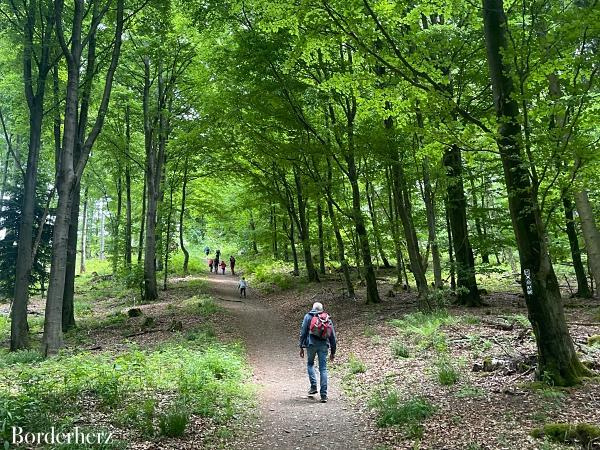 Hollenmarsch mit Hund