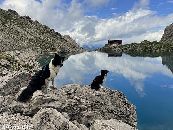 Ferienhaus Urlaub in Österreich